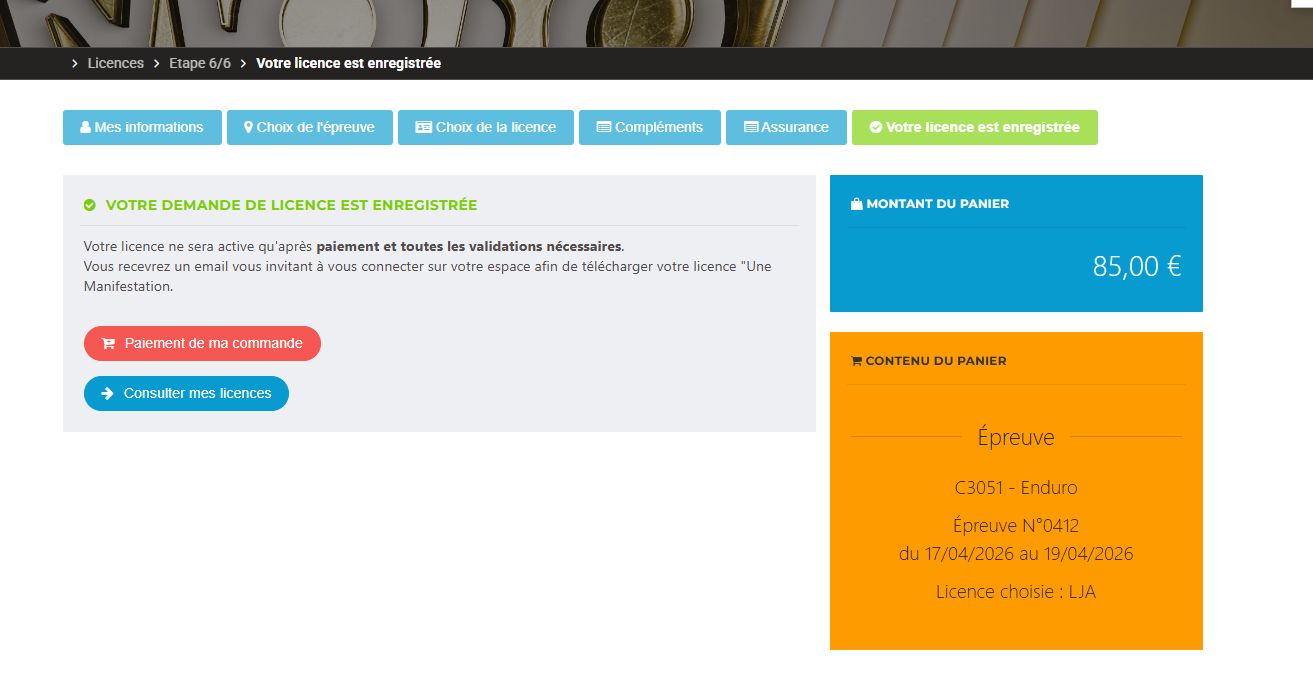 Step 9 – Payment €85